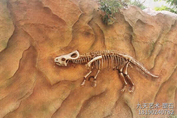 恐龙骨架埋藏岩层